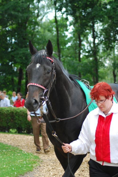 racehorse ring black