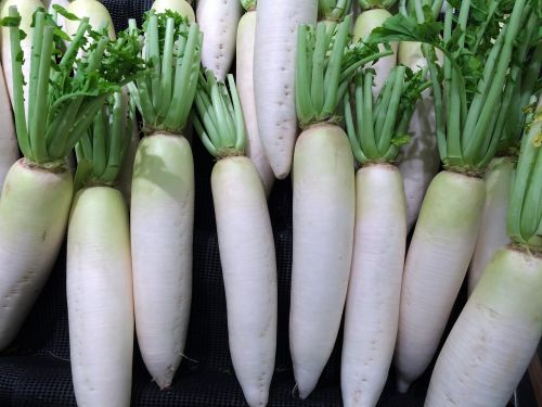 radish vegetables seiyu ltd
