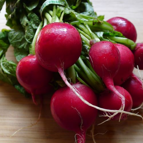 radish radishes vegetable