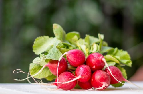 radish radishes blur