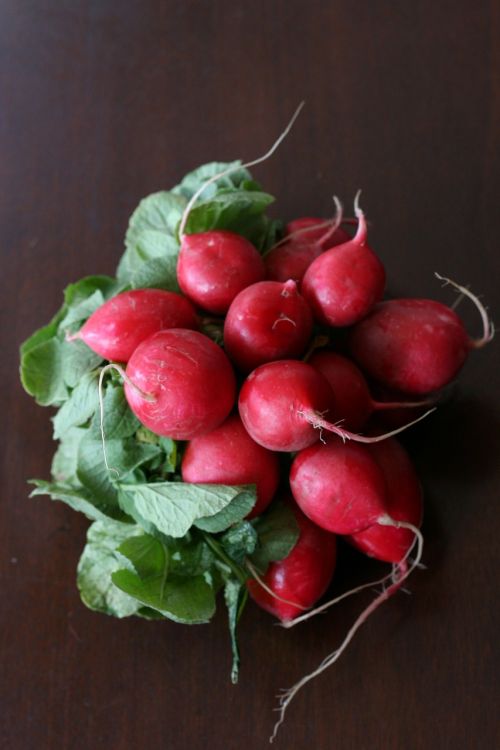 radish organic healthy