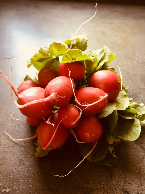 radish  vegetables  foodstuffs