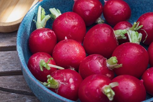 radish  radishes  food