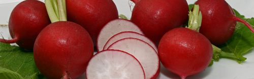 radishes vegetables eat