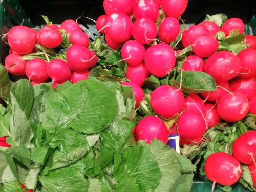 radishes vegetables vegetable market