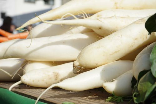 radishes raphanus white