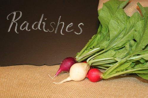 radishes  vegetables  vegetarian