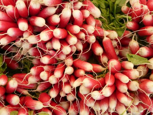 radishes vegetables food