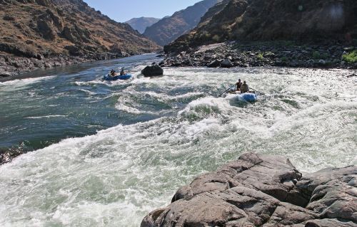 rafting salmon river water