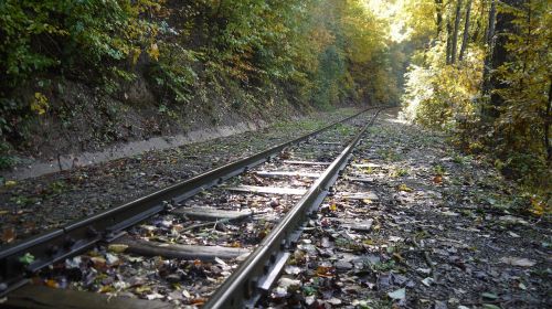 rail autumn nature