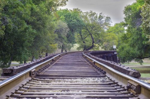 rail road trees rail