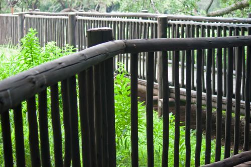 Railing Of Raised Wooden Walkway