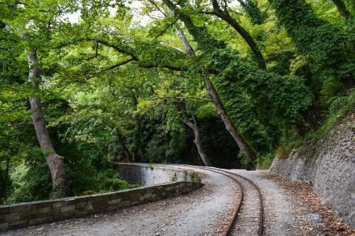 rails bridge trees