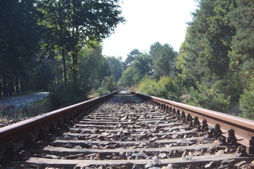 railway rails nature seemed