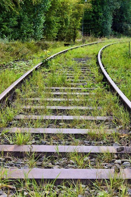 railway tracks  gleise  green