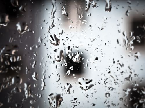 rain raindrop drop of water