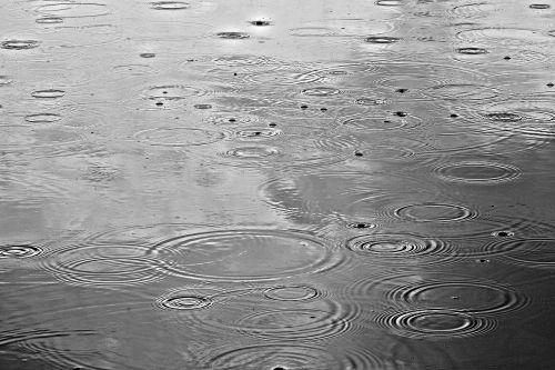 rain rain drops water