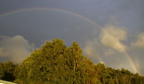 rain rainbow colors