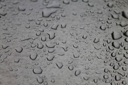 rain drops water