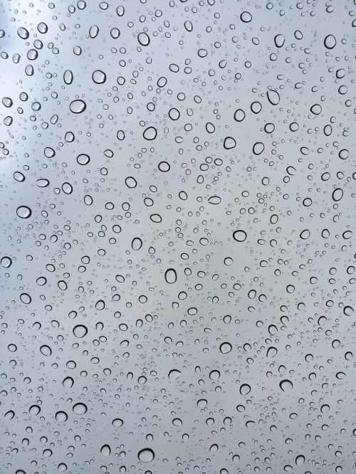 rain rain drips window