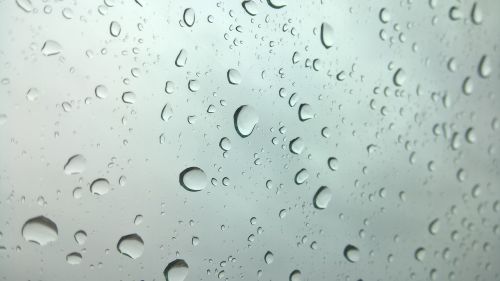 rain water drops rain drops