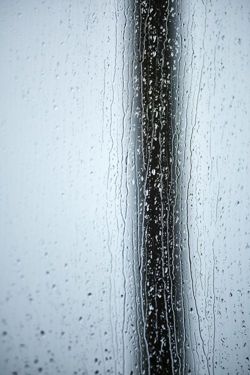 rain raindrop drop of water