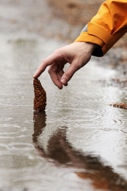 rain pinecone hand