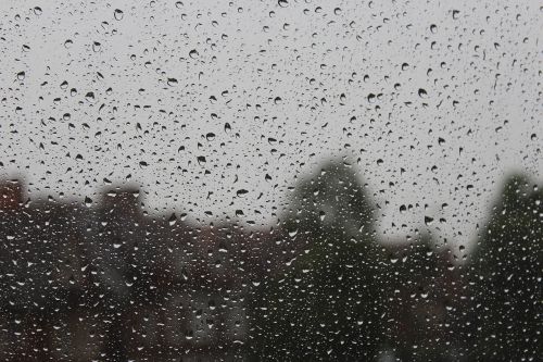 rain raindrops window