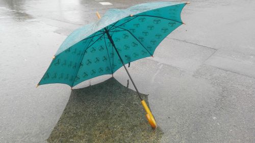 rain umbrella winter