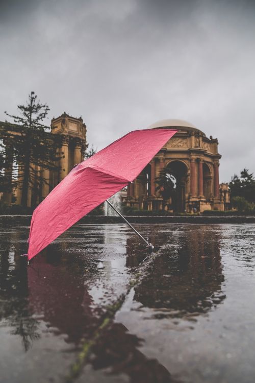 rain red umbrella