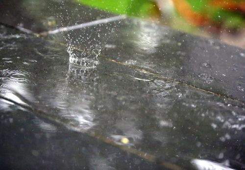 rain raindrop water