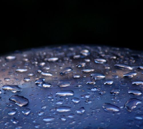 rain drops water