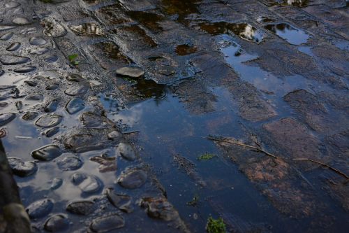 rain puddle brick