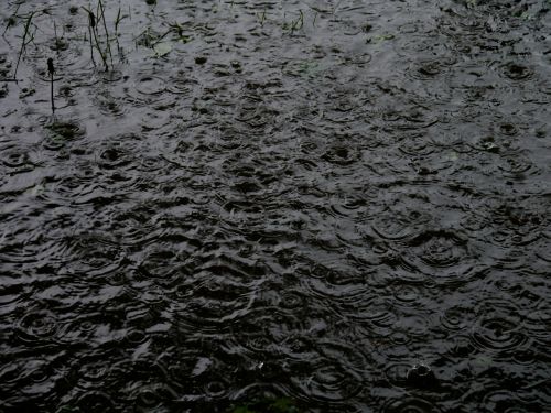 rain raindrop puddle