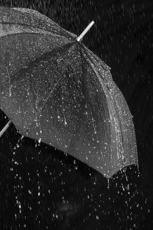 rain  umbrella  screen