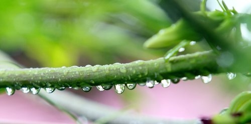 rain  drops  rainy