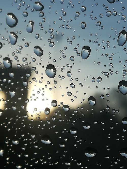 rain  water  drops
