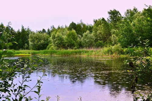 rain  river  lake