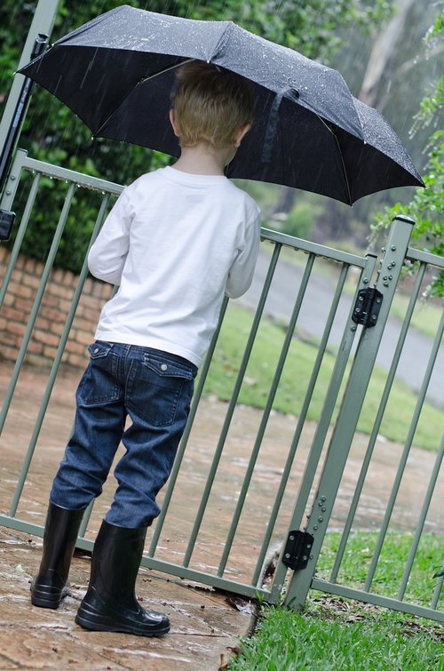 rain  umbrella  boy