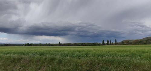 rain  cloud  field