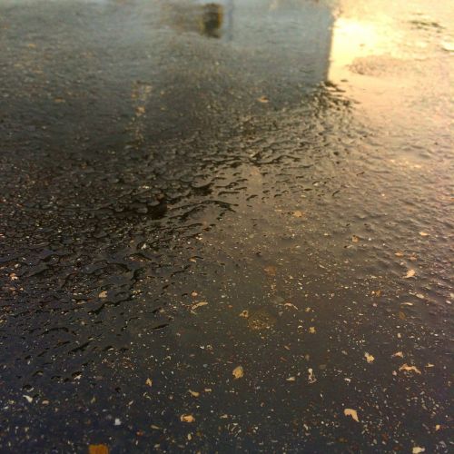 rain pavement wet