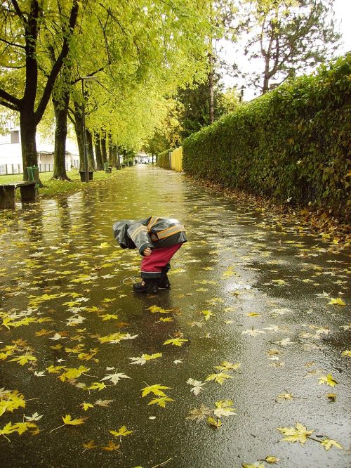 rain november autumn