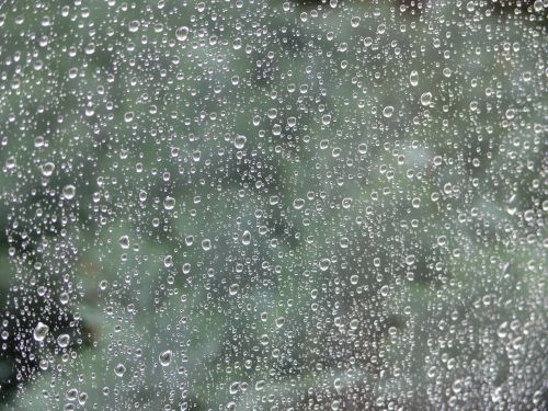 rain window raindrop