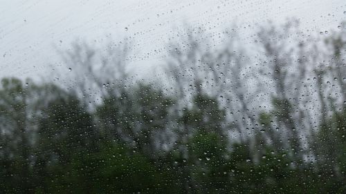 rain weather window