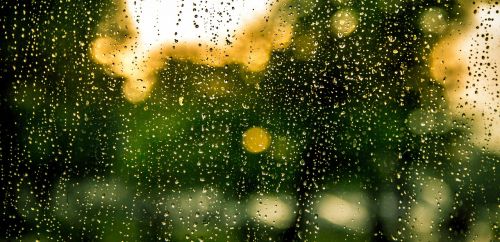 rain water drops