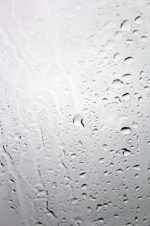 rain disc window