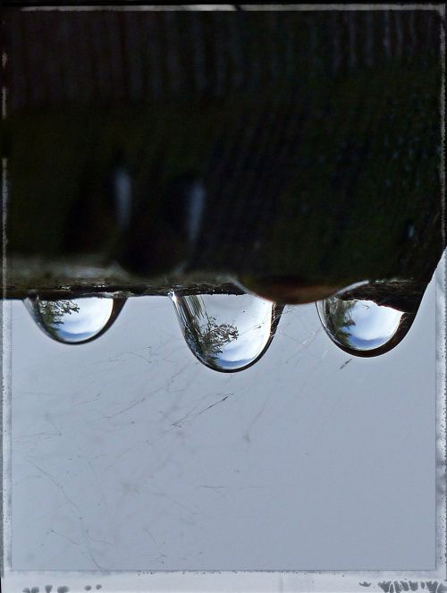 rain drops reflection macro