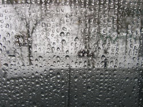 rain drops wet droplets