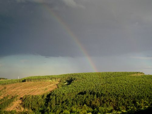 Rainbow Over Green Hill