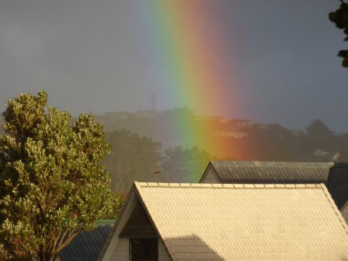 rainbow urban roof